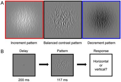 Understanding contrast perception in amblyopia: a psychophysical analysis of the ON and OFF visual pathways